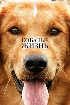 Собачья жизнь (2017)