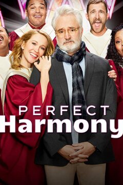 Полная гармония / Идеальная гармония (2019)