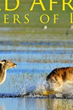 Дикие реки Африки (2018)