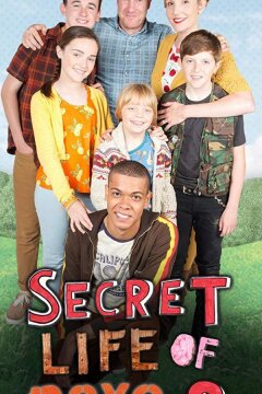 Тайная жизнь мальчишек (2015)