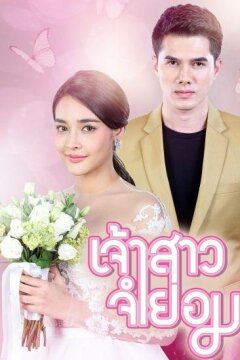 Невеста-механик / Невеста поневоле (2018)