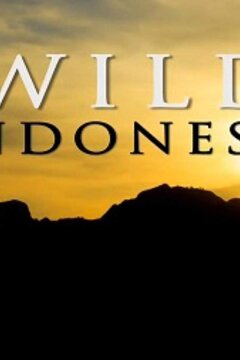 Дикая Индонезия (2015)