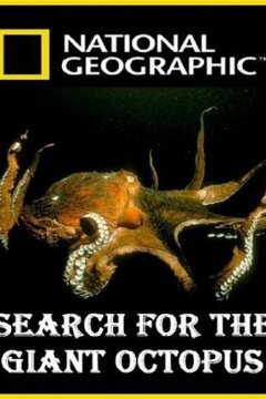National Geographic. В поисках гигантского осьминога (2009)