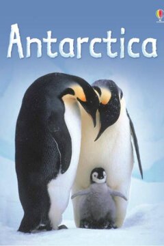 National Geographic. Дикая Антарктида (2015)