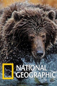 National Geographic. Империя гризли (2015)