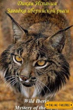 National Geographic. Дикая Иберия. Загадка иберийской рыси (2012)