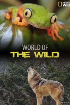 Мир дикой природы (2016)