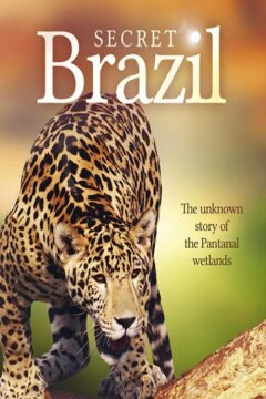 Неизвестная Бразилия (2012)