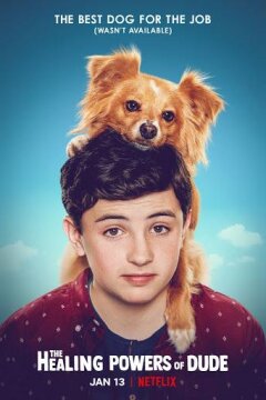 Целебные силы дружка (2020)