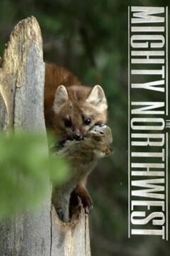 Прекрасная Америка: Величественный Северо-Запад. Под вулканом (2017)