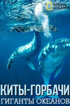 Киты-горбачи: гиганты океанов (2009)