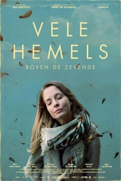 В бесконечных небесах (2017)