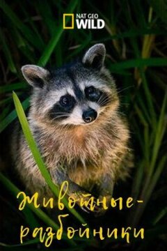 Животные-разбойники (2017)