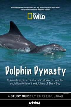 Династия дельфинов (2016)