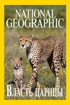 Власть царицы (2018)