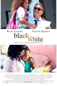 Чёрное или белое (2014)