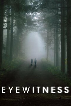 Свидетели (2016)