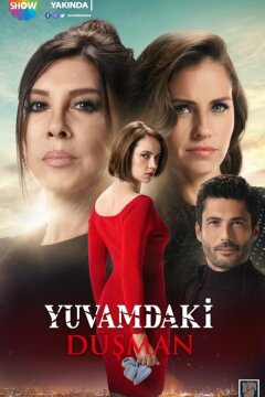 Враг в моем доме (2018)