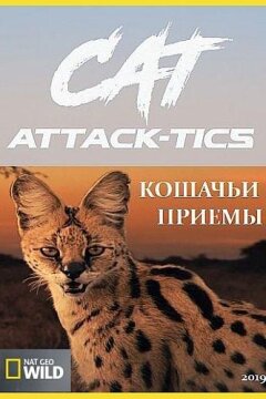 Кошачьи приемы (2019)