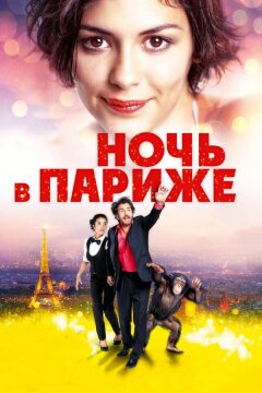 Ночь в Париже (2016)