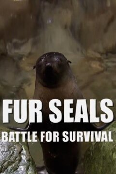 Морские котики: битва за выживание (2014)