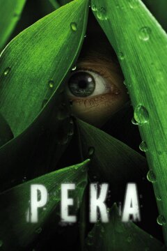 Река (2012)