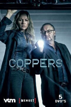 Грубое правосудие (2016)