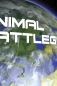 Поля Звериных Сражений (2006)