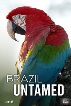 Дикая Бразилия (2016)
