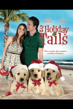 Три рождественские сказки (2011)