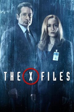 Секретные материалы (1993)