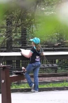 Школа-зоопарк (2015)