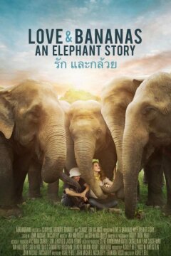 Любовь и бананы (2018)