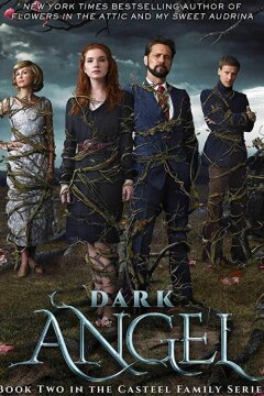 Тёмный ангел (2019)