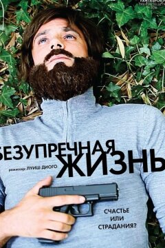 Безупречная жизнь (2018)