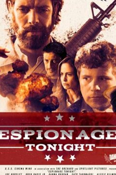 Шпионаж (2017)