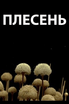 Плесень (2009)