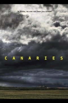 Канарейки (2017)