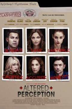 Искаженное восприятие (2017)