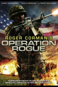 Операция «Возмездие» (2014)