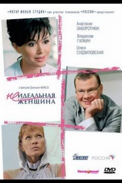 Неидеальная женщина (2008)