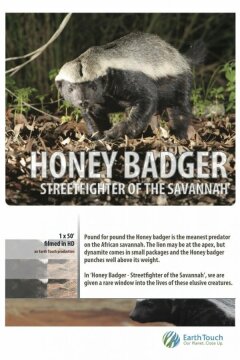 Жизнь одного медоеда (2013)