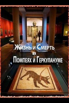 Жизнь и смерть в Помпеях и Геркулануме (2013)