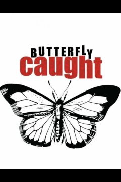 Поймать Бабочку (2017)