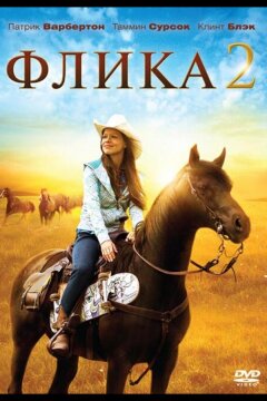 Флика 2 (2010)
