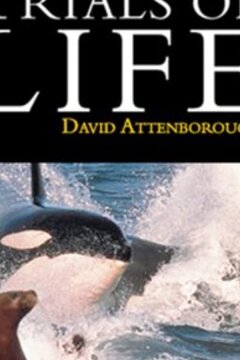 BBC: Борьба за выживание (1990)