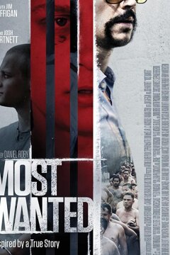 Разыскивается (2020)