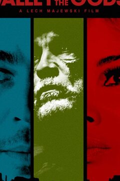 Воображаемая реальность (2019)