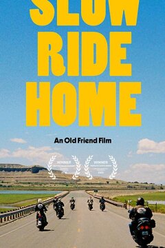 Долгий путь домой (2020)