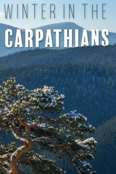 Зима в Карпатах (2017)